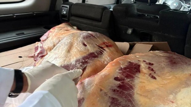 Bakıya satmağa apararkən avtomobildə ələ keçdi - FOTO