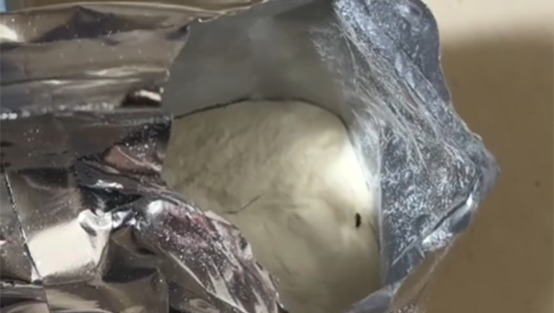 Uşaq qidasından həşərat çıxıb? - Nəzarətə götürüldü - VİDEO