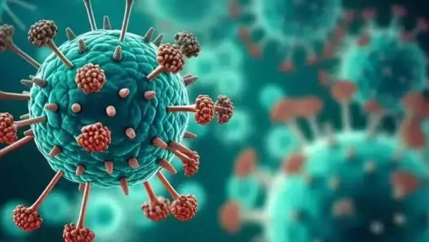 Yeni təhlükə: insanlarda korluğa səbəb ola bilən virus aşkarlandı