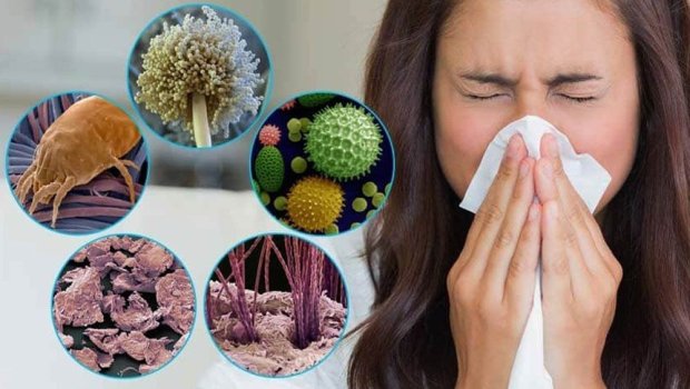 Bu tarixə qədər insanların yarısında allergiya olacaq &ndash; ŞOK XƏBƏRDARLIQ