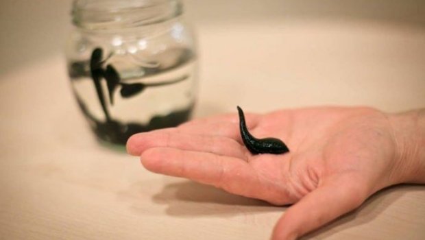 Bu xəbərdən sonra zəlinin qiyməti YÜKSƏLDİ