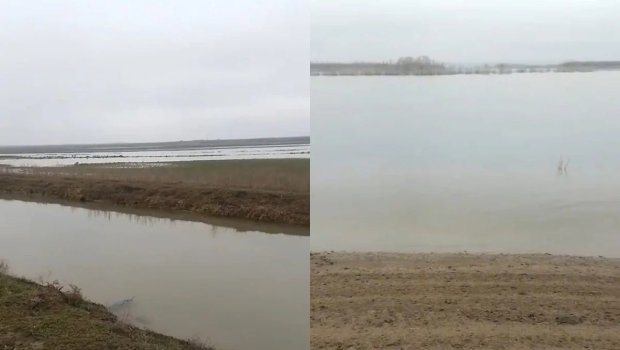 Kür çayı daşdı, əkin sahələrini su basdı - FOTO