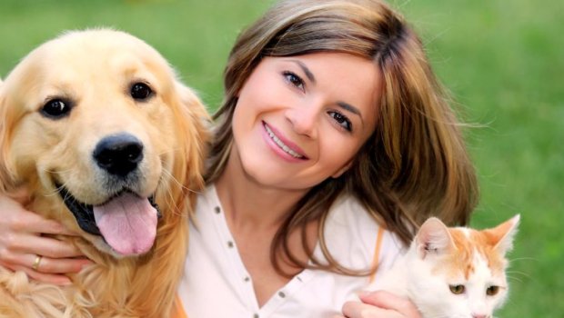 Bu ölkədə işçilərə ev heyvanı xəstələnsə, məzuniyyət verilir