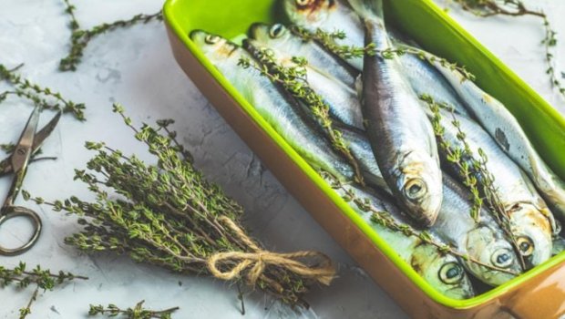 Dəri, ürək və ümumi sağlamlıq üçün hansı balıq faydalıdır?