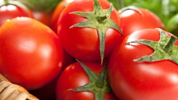 Dadsız, rəngsiz POMİDORLAR - Süfrəmizə keyfiyyətsiz məhsulu kim gətirir? &ndash; ARAŞDIRMA