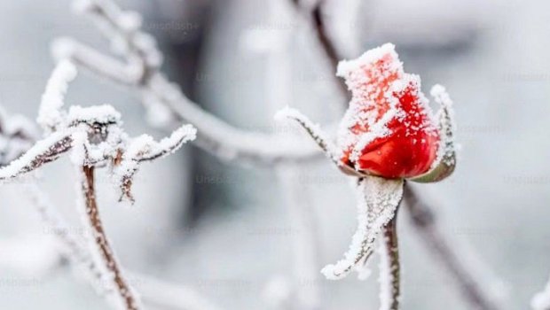 APREL və QAR: son 10 ildə hansı bölgələrə yazda qış gəlib?