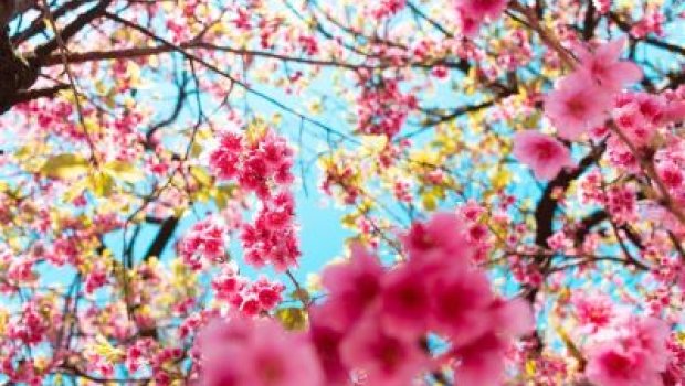 Sabah hava necə olacaq? &ndash; PROQNOZ