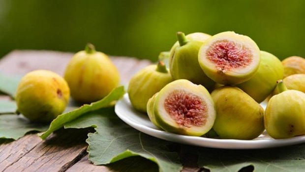 İbn Sinanın tövsiyə etdiyi meyvə: əncirin faydaları