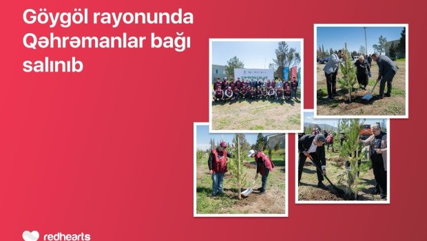 Göygöldə &ldquo;Qəhrəmanlar bağı&rdquo; aksiyası həyata keçirilib