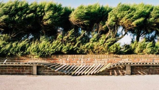 &ldquo;Hündür ağacların altında dayanmayın!&rdquo; - Güclü küləklə bağlı XƏBƏRDARLIQ