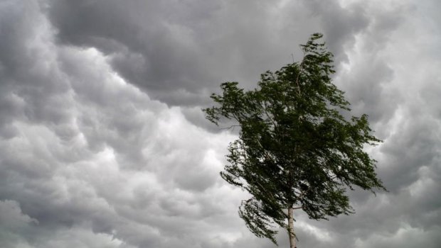 Küləyin sürəti artıb - FAKTİKİ HAVA