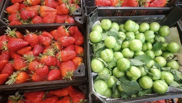 Fermerlər zərər içində: Çiyələk və alça bu il baha ola bilər - VİDEO