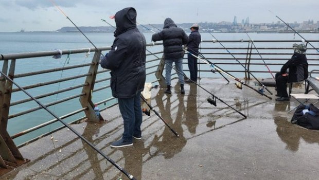 Xəzərdə balıq ovu tam dayandırılır - TARİX