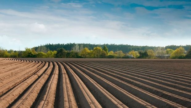 Suqovuşanda əkin üçün torpağa sahiblənmək istəyənlərə MÜJDƏ