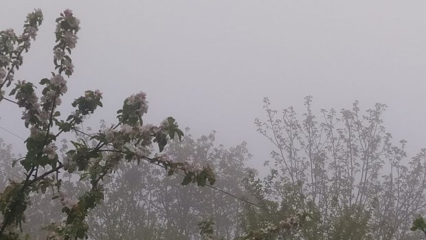Şimal-Qərb bölgəsində hava yağışlı, yollar dumanlıdır - FOTO