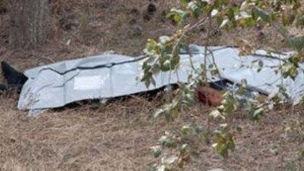 Goranboyda ağacların arasından meyit tapıldı