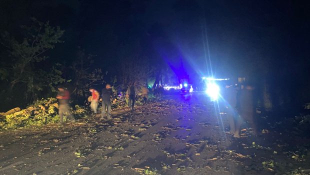 Ağac aşdı, Gəndob-Yalama yolu BAĞLANDI - FOTO