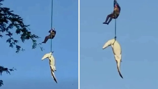 İnsan yeyən timsah helikopterlə belə tutuldu &ndash; ANBAAN VİDEO