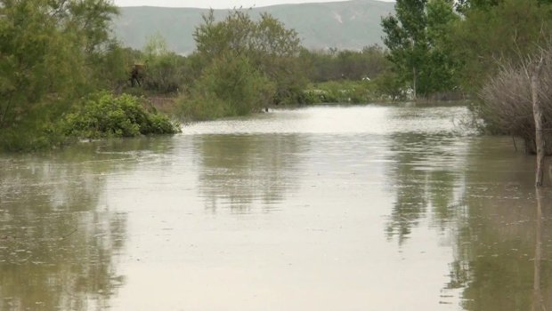 Kür daşdı: Sabirabadda geniş ərazilər su altında qaldı - FOTO