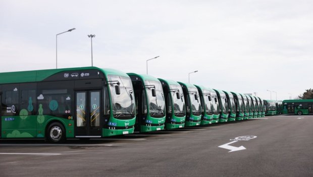 WUF13: Qonaqlar 24 saat ərzində avtobuslarla məkanlara daşınacaq