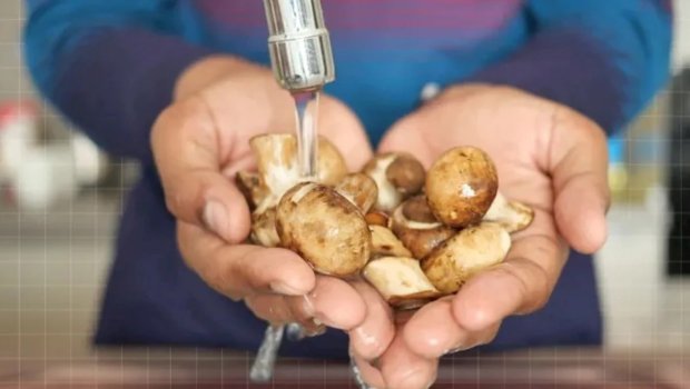 Yuyulanda zəhərə çevrilən qidalar