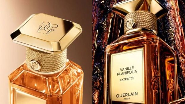 600 dollarlıq TikTok trendi: "Guerlain" ətri haqqında nələri bilməliyik?