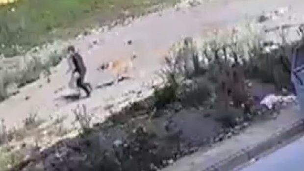 Azyaşlı sahibsiz itlərin hücumundan son anda xilas oldu &ndash; ANBAAN VİDEO