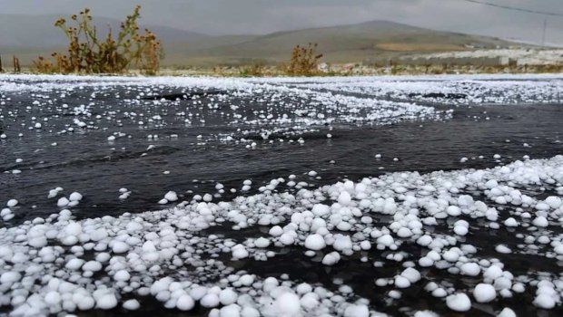 Ordubad və Şahbuz rayonlarına dolu düşdü
