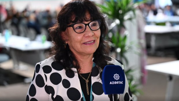 Peru səfiri: &ldquo;WUF13 şəhərlərlə bağlı milli siyasətlərin formalaşdırılması üçün mühüm platformadır&rdquo; - VİDEO