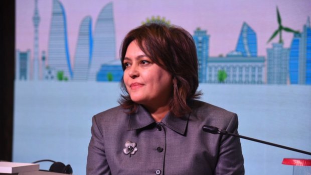 Azərbaycan müxtəlif ekoloji problemlərlə üzləşib - Umayra Tağıyeva