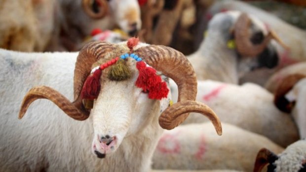 Azərbaycanda Qurban bayramı qeyd edilir