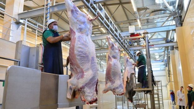 Qurban bayramı günlərində 134 ünvanda satış və kəsim xidmətləri göstərilir -AQTA