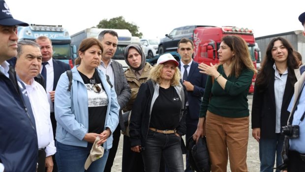Qəhvəyi mərmər bağalığı yenidən aktivləşib - FOTO