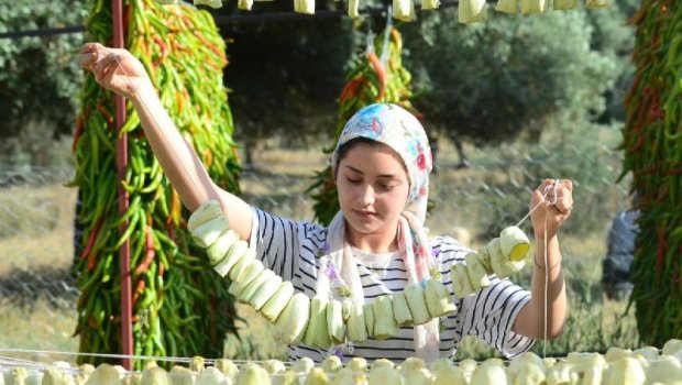 70 il əvvəl başladı&ndash; Bu gün bütün məhəlləni işlə təmin edir &ndash; FOTO