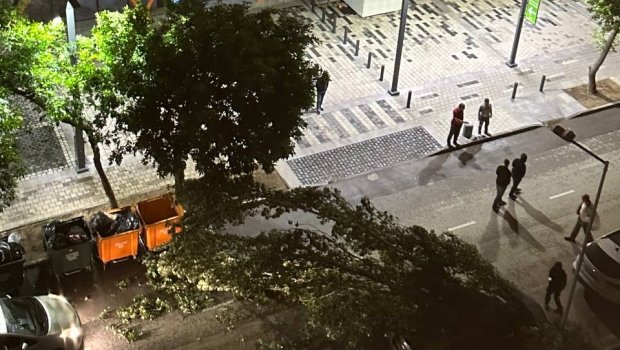 TƏCİLİ! Bakıda güclü külək ağacı avtomobilin üzərinə AŞIRDI &ndash; FOTO/VİDEO