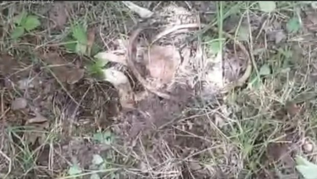 Ağdərədə itkin düşmüş ailəyə aid olduğu ehtimal edilən sümük qalıqları tapıldı &ndash; FOTO