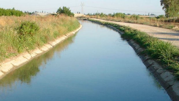 Kanaldan qadın meyiti tapıldı