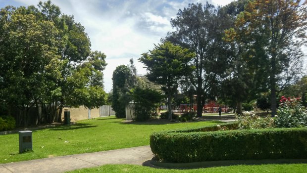Gənc oğlan parkda dostunu bıçaqladı