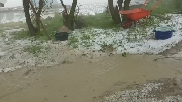 Qubanın dağlıq kəndlərinə dolu düşdü: Təsərrüfatlara ziyan dəydi - FOTO-VİDEO