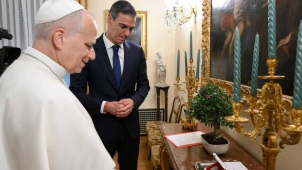 İspaniyada Roma Papasına zeytun ağacı hədiyyə edildi