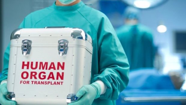 Baş nazirdən sümük iliyi transplantasiyası ilə bağlı QƏRAR