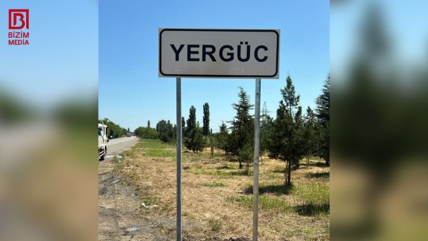 Xaçmaz sakini uzunqulağın dişləməsi nəticəsində dünyasını dəyişdi &ndash; ÖZƏL