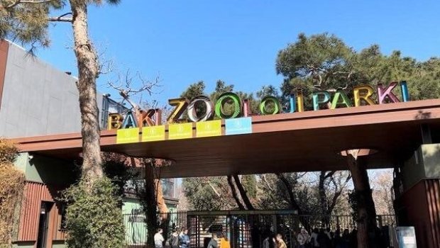 Bu qurum niyə 350 min manata siçan-siçovul alır?