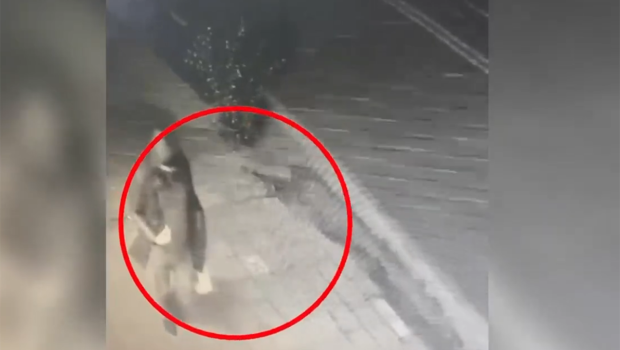 70 minlik qızıl oğurladığı evin sahibinin gödəkçəsini geyinib qaçdı - Video
