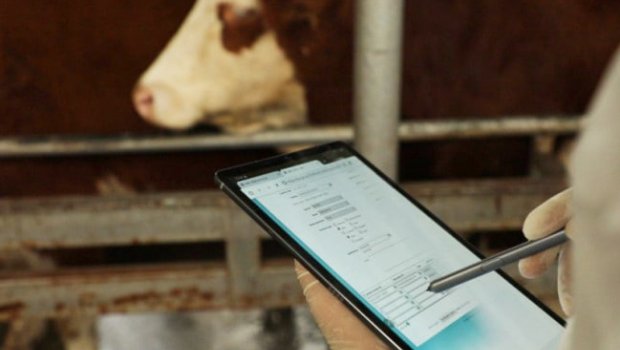 Azərbaycanda ilk dəfə heyvanların elektron izləmə sistemi yaradılacaq