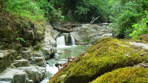 Lənkəranda bir nəfər şəlalədə çimərkən batıb
