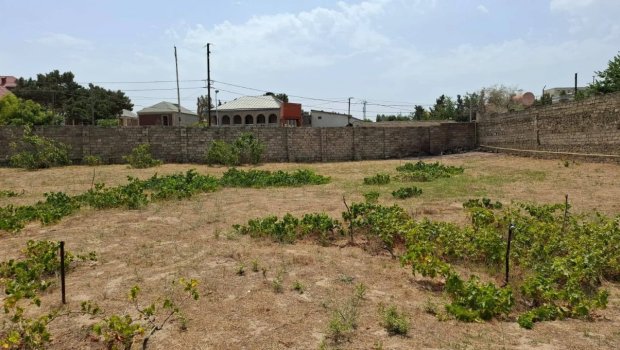 Bakıda torpaq bazarında yeni qiymətlər: 500 minə qədər...