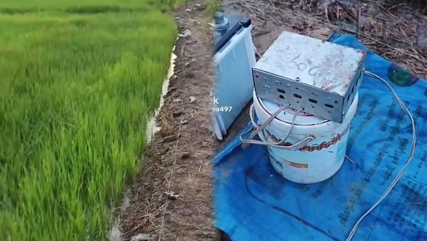 Zaqatala deyil, Kambocadır...&ndash; Video