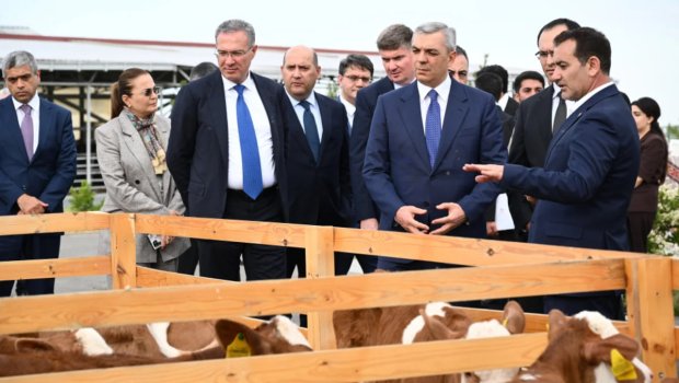 Xocalıda "Qoç Ət"in heyvandarlıq kompleksi ilə tanışlıq - FOTO