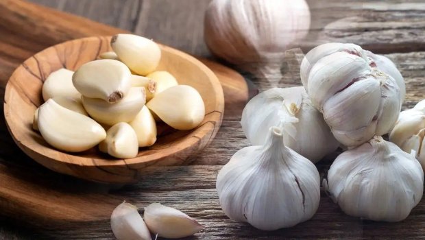 Gündə bir sarımsaq udulsa, orqanizmdə nə baş verər?